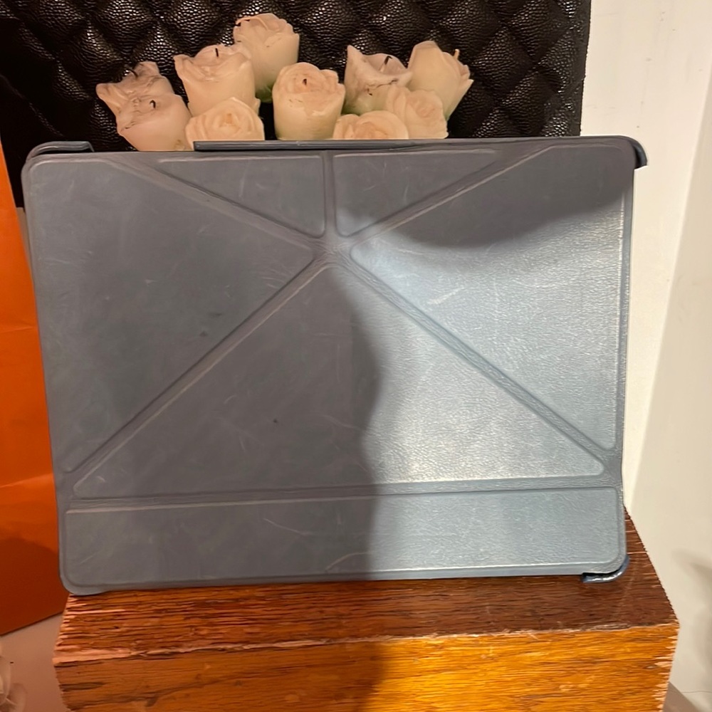 Coach I pod case